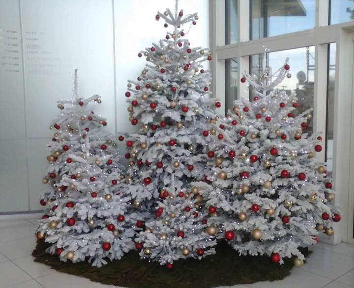 Nous vous proposons la fourniture et l'installation de votre décoration de Noël