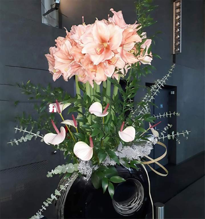 Après aménagement intérieur