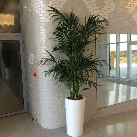 Travaux paysager d'extérieur Buchelay