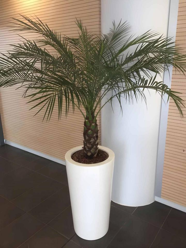 Services de paysagisme commercial à Buchelay