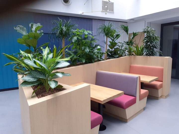 Entretien de plantes d'extérieur à Buchelay